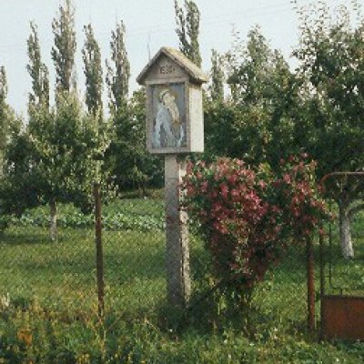 image-24